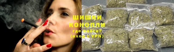 каннабис Богданович