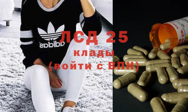 PSILOCYBIN Бронницы