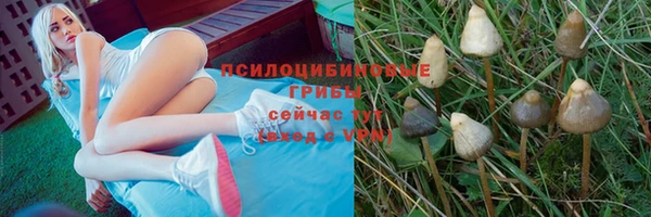 кокаин перу Бородино