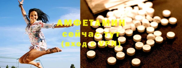 дживик Богородицк