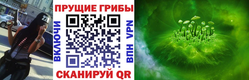 Купить где  Дмитриев  Галлюциногенные грибы GOLDEN TEACHER 